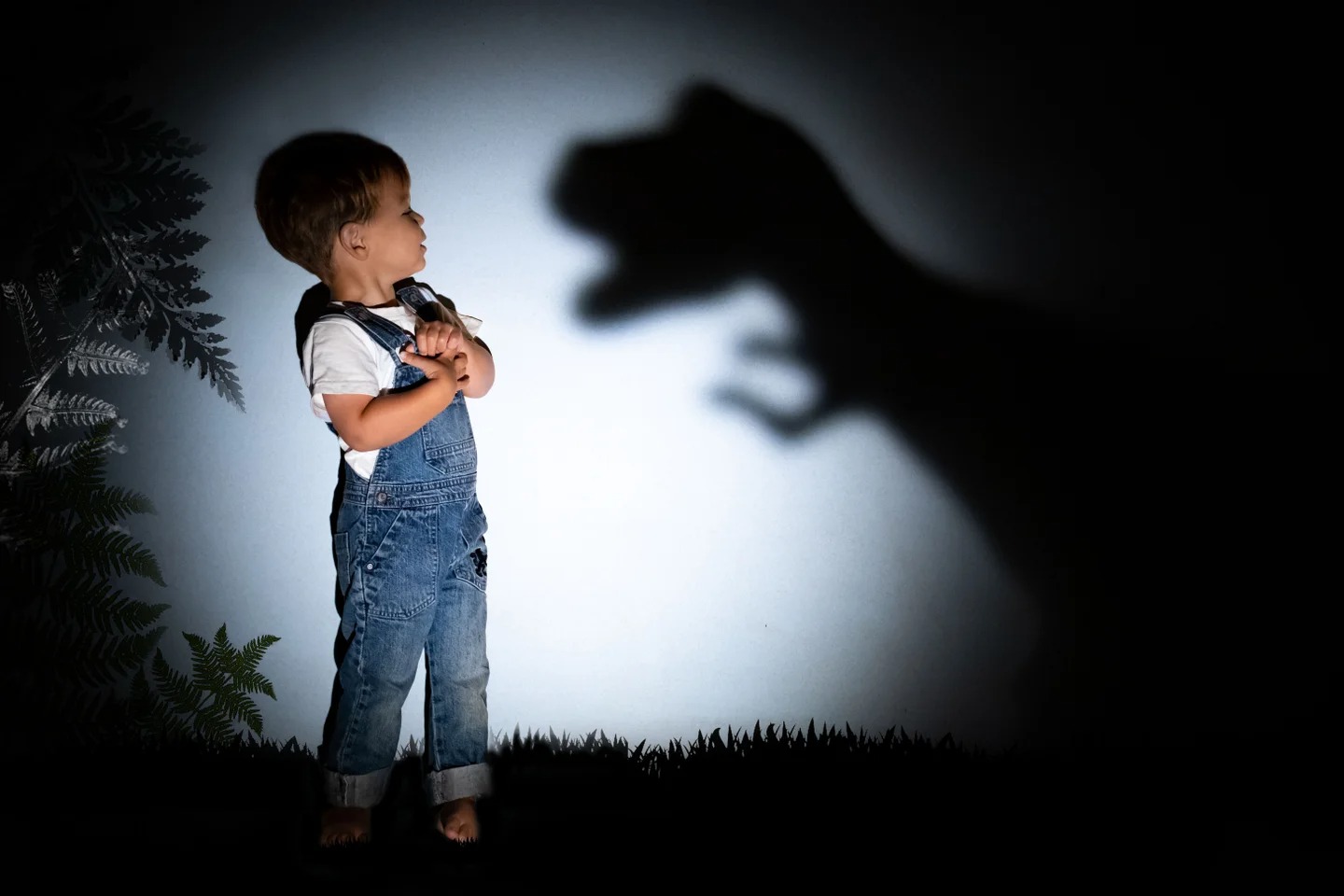 Kid being scared by shadow puppet