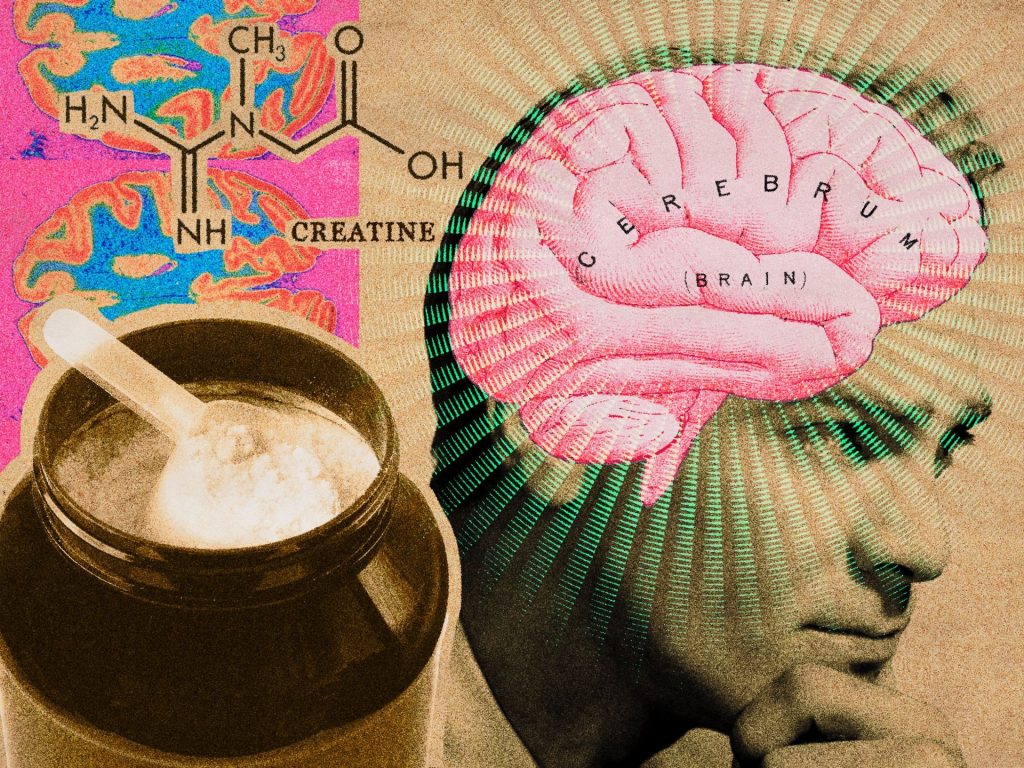 Creatine in the brain